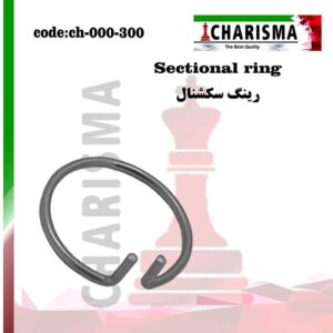 تصویر رینگ سکشنال کاریزما